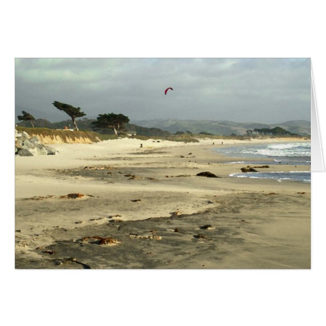 Red Kite (Anverso (Horizontal))