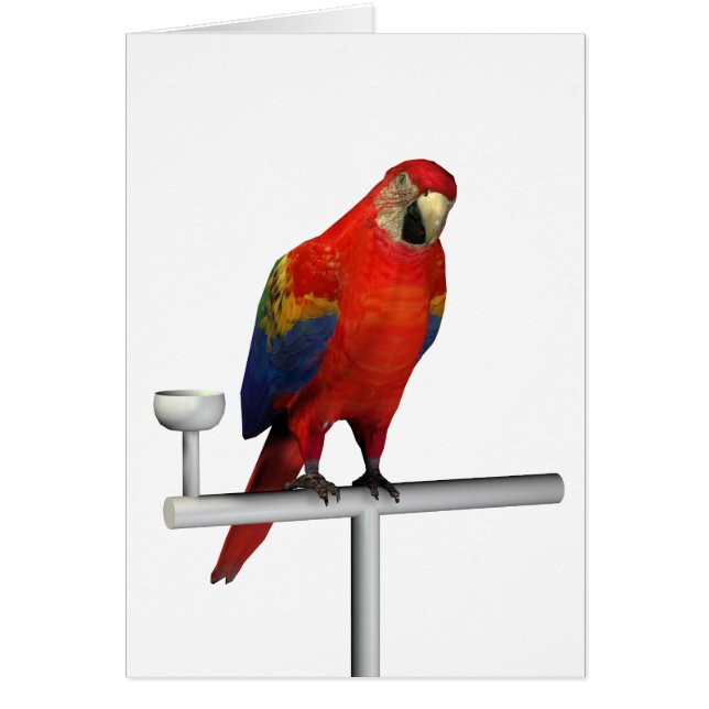 Red Parrot Scarlet Macaw (Frente)