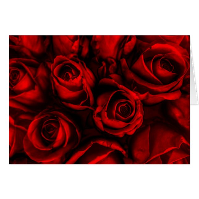 Red Rose Elegance (Anverso (Horizontal))
