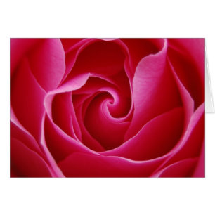Red Rose Notecard