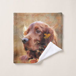 Red Setter irlandés, irlandés Setter