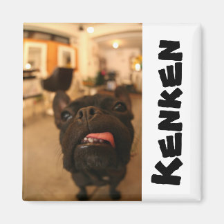 Redes de imanes de Kenken E