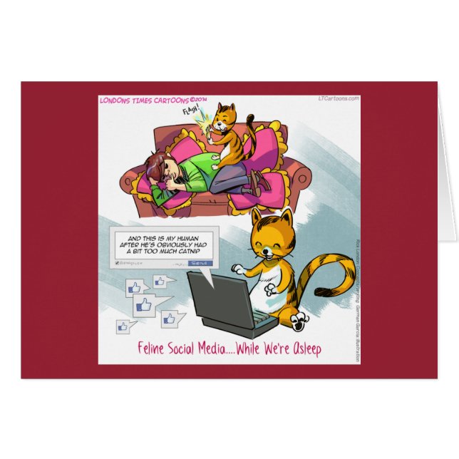 Redes sociales divertidas de gatos (Anverso (Horizontal))