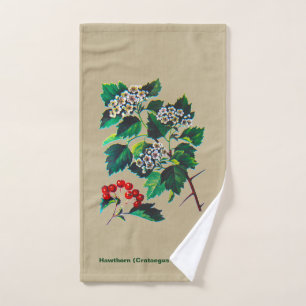 Redhaw Hawthorn En Papel Antiguo
