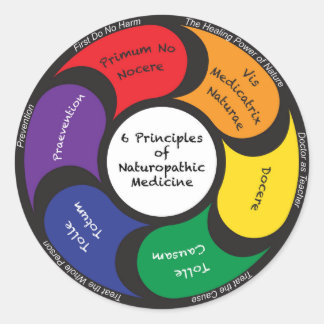 Redonda 6 Principios del Pegatina de Medicina Naturopática