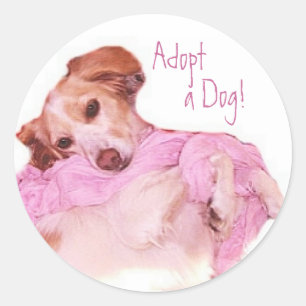Redonda Adoptar un Pegatina de perros