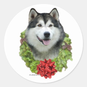 Redonda Alaskan Malamute Wreath - Pegatina