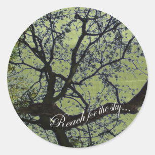 Redonda Alcance para el Pegatina Sky