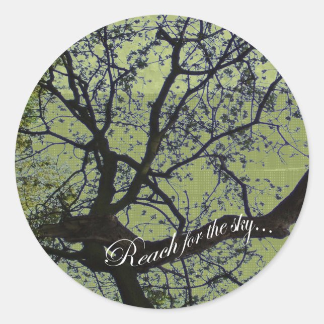 Redonda Alcance para el Pegatina Sky (Anverso)