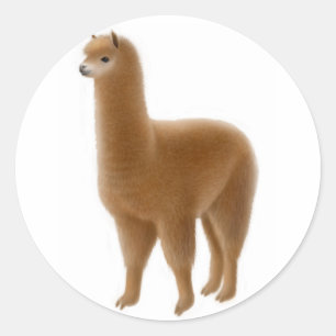 Redonda Amigable Pegatina de la Alpaca Marrón