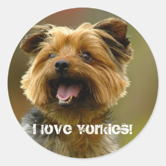 Redonda ¡Amo a los Yorkies! Pegatina