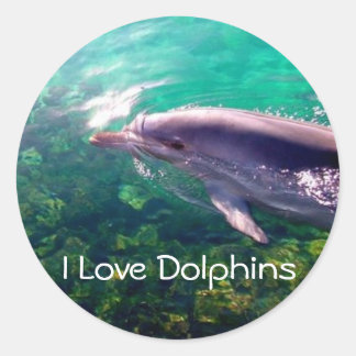 Redonda Amo al Pegatina Dophins