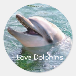 Redonda Amo al Pegatina Dophins