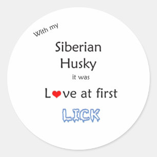 Redonda Amor Husky Siberiano en First Lick - Pegatina