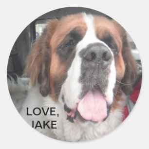 REDONDA AMOR, PEGATINA DE JAKE
