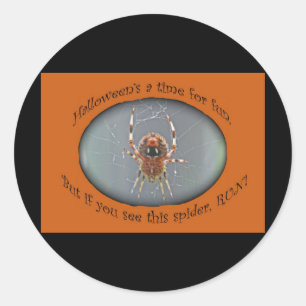 Redonda Araneus Orb Weaver Spider Pegatina de Halloween