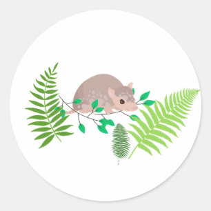 Redonda Armadillo Pegatina