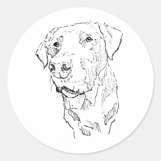 Redonda Arte de pegatina de Labrador Retriever (Anverso)