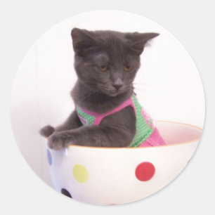 Redonda arys kitten pegatina