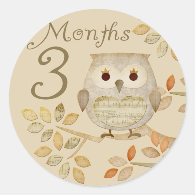 Redonda Autum Owl 3 meses Pegatina (Anverso)