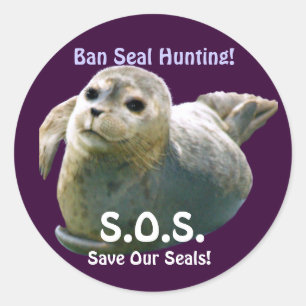 Redonda BABY SEAL Anti Seal-Hunt Wildlife Pegatina