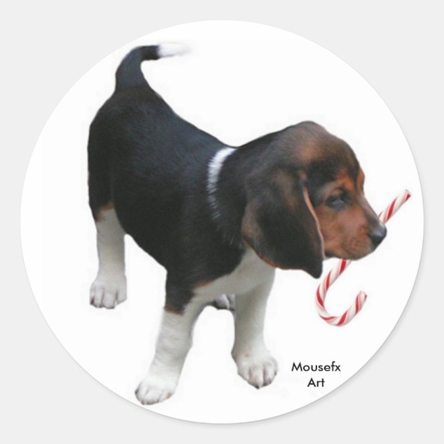Redonda Beagle Holiday Pegatina (Anverso)
