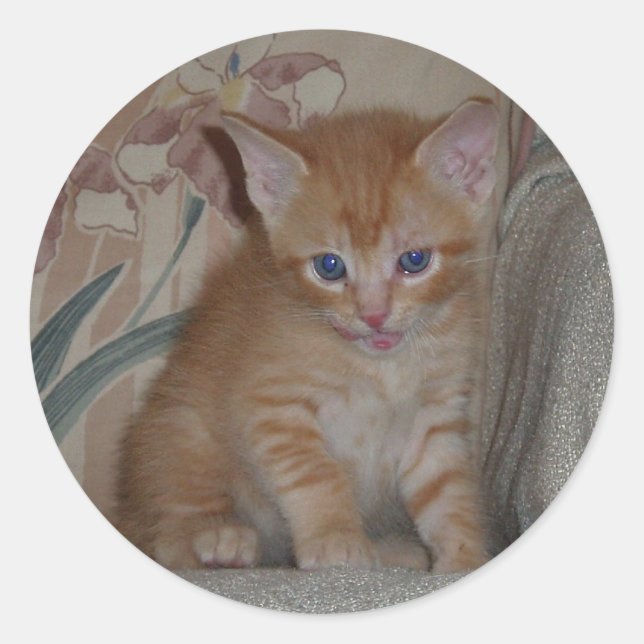 Redonda Bebida dentro del Pegatina Dax (Anverso)