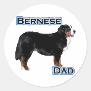 Redonda Bernese Dad 4 - Pegatina