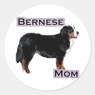 Redonda Bernese Mom 4 - Pegatina