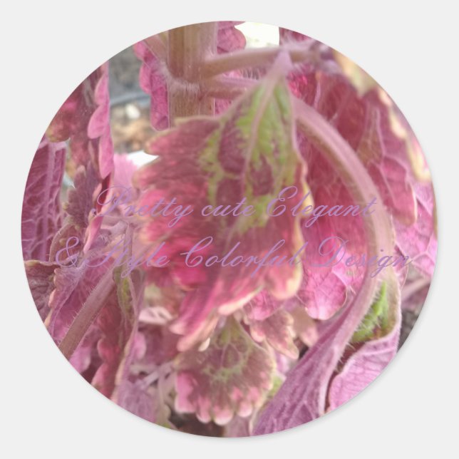 Redonda Bonito Elegante y Pegatina redondo de estilo color (Anverso)
