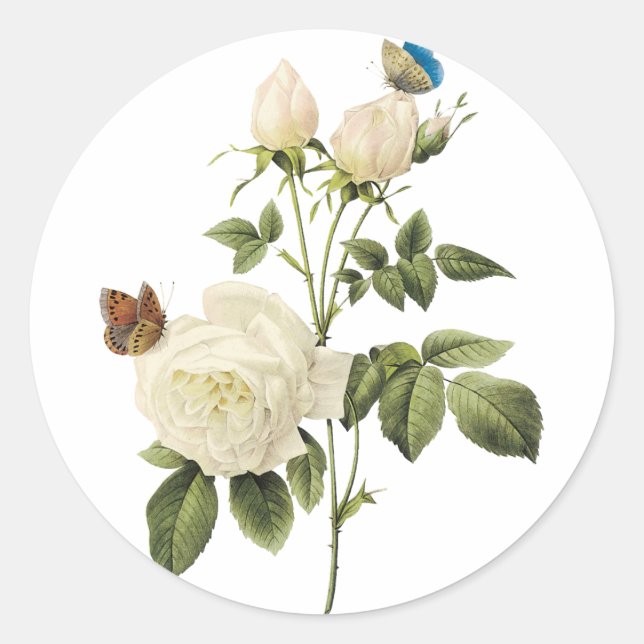 Redonda Bouquet de rosas blancas con Pegatina de mariposas (Anverso)