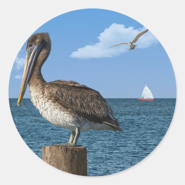 Redonda Brown Pelican en un Pegatina de Post (Anverso)