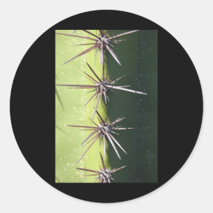 Redonda Cactus espinoso cerrar Pegatina vertical
