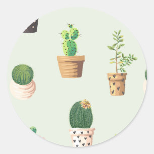 Redonda Cactus Pegatina