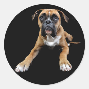 Redonda Caja de amor Perrito Boxer Negro Pegatina de Salud