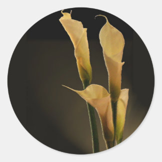Redonda Calla Lily pegatina