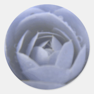 Redonda Camellia Frozen Beauty Pegatina