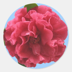 Redonda Camellia Pegatina