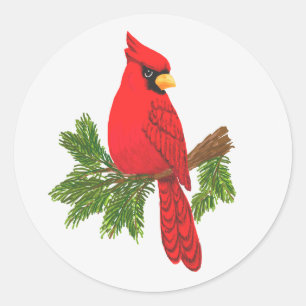 Redonda Cardenal rojo del pegatina de Scrapbooking,