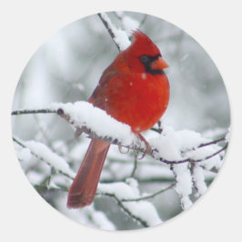 Redonda Cardenal rojo en el pegatina de la nieve