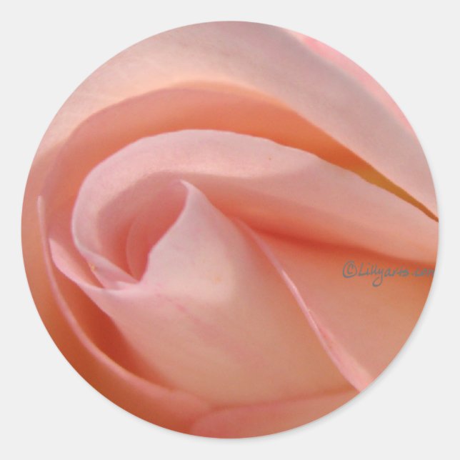 Redonda Cerrar el Pegatina de sobre rosa rosado (Anverso)