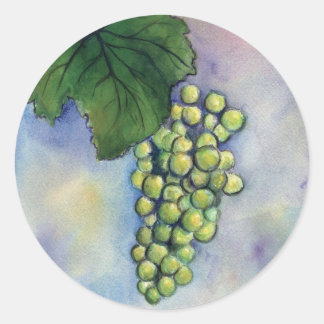 Redonda Chardonnay Wine Grapes Pegatina