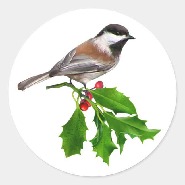 Redonda Chickadee Holly Pegatina (Anverso)