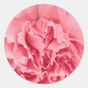 Redonda Cierre de la Carnación Rosa pegatina