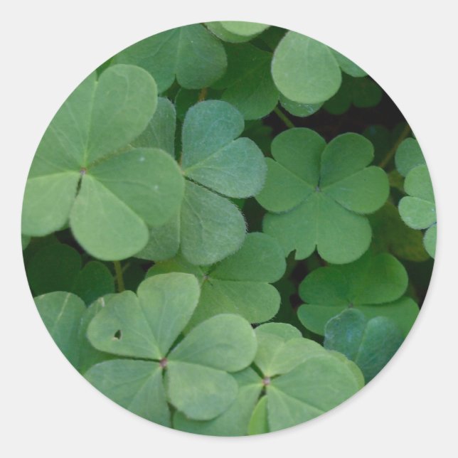 Redonda Clover Pegatina (Anverso)