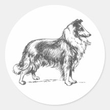 Collie Dog Pegatina