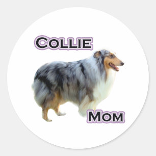 Redonda Collie Mom 4 - Pegatina