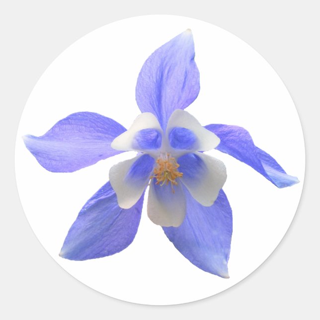 Redonda Columbina 158 ~ pegatina (Anverso)