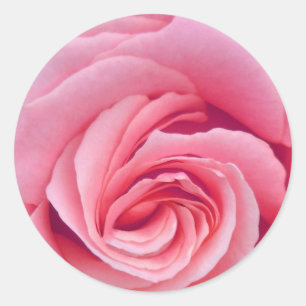 Redonda Complejidad del Pegatina Rosa Rosa Rosada
