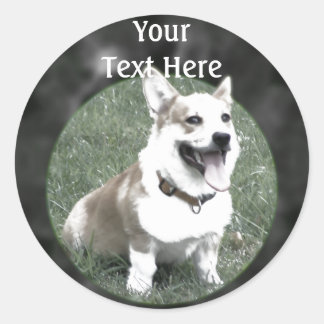 Redonda Corgi Pegatina